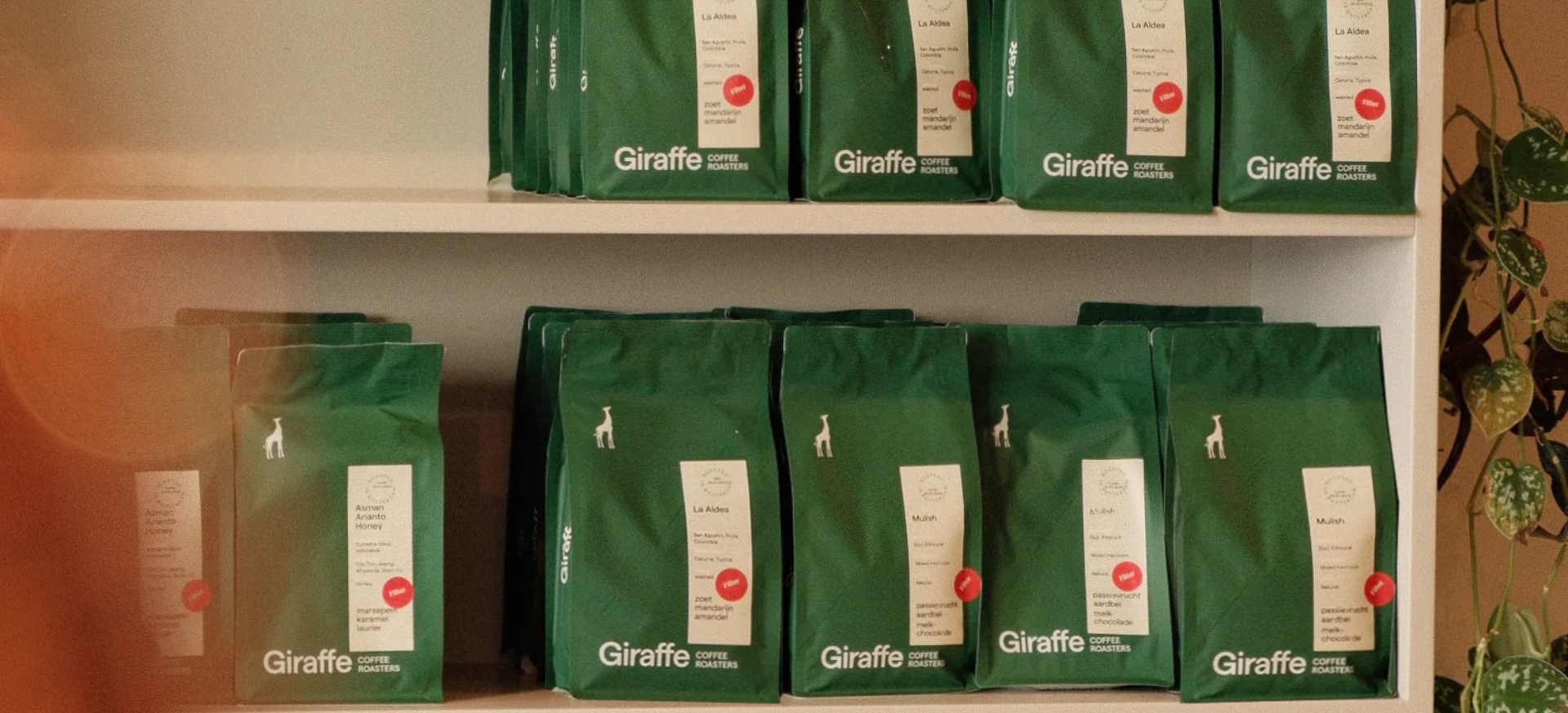 Banner Giraffe Coffee